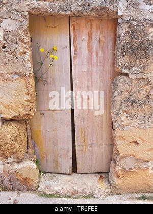 La porte en bois dans une maison en pierre de fleurs de chardon, Espagne, Îles Baléares, Majorque Banque D'Images