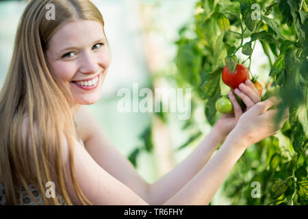 Jardin la tomate (Solanum lycopersicum, Lycopersicon esculentum), jeune femme d'être heureux au sujet d'une tomate mûre à un plant de tomate, Allemagne Banque D'Images