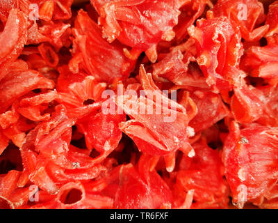 Hibiscus (Hibiscus chinois rosa-sinensis), confit de fleurs d'Hibiscus sur un stand de marché, Espagne, Îles Baléares, Majorque Banque D'Images