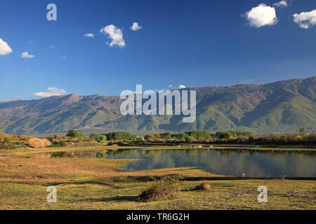 Lake Kerkini, Cisjordanie, Grèce, Serres, Lake Kerkini Banque D'Images