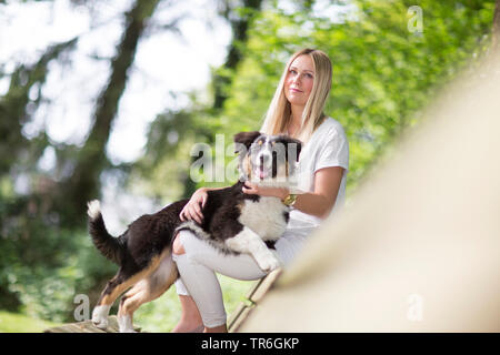 Berger Australien (Canis lupus f. familiaris), avec une femme blonde mettent bas sur les genoux, Allemagne Banque D'Images