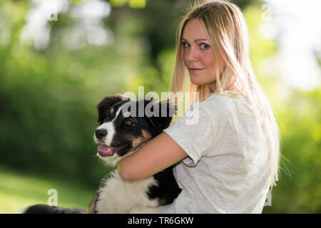 Berger Australien (Canis lupus f. familiaris), avec une femme blonde mettent bas sur les genoux, Allemagne Banque D'Images