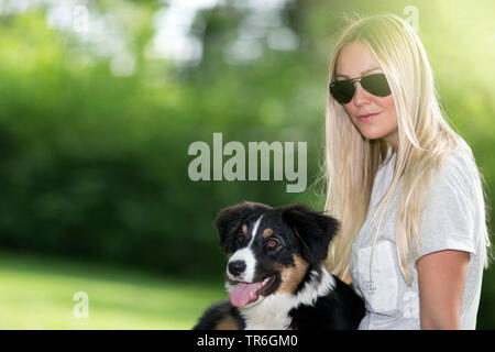 Berger Australien (Canis lupus f. familiaris), avec une femme blonde mettent bas sur les genoux, Allemagne Banque D'Images