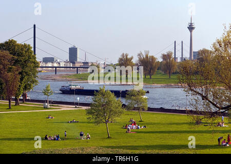 Vue depuis du Rheinpark de Golzheim de navires sur le Rhin et la ville de Düsseldorf, Allemagne, Rhénanie du Nord-Westphalie, Bas-rhin, Duesseldorf Banque D'Images