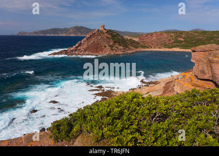 Tower, bay et plage de Porto Ferro, Italie, Sardaigne, Alghero Banque D'Images