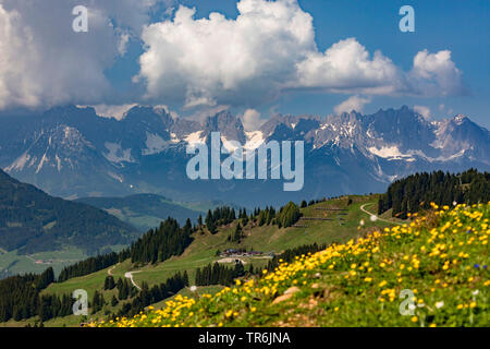 Wilder Kaiser montagne avec les cumulus, l'Autriche, le Tyrol, Kirchberg Banque D'Images