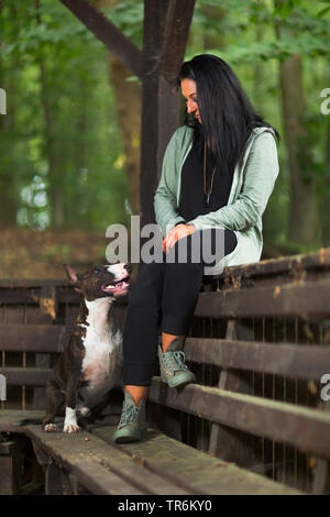 Bull Terrier (Canis lupus f. familiaris), femme assise avec son chien sur un banc, Allemagne Banque D'Images