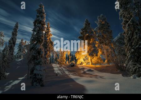 Cheminée dans paysage de neige en Laponie, Suède, Muddsus Nationalaprk, Norrbotten, Laponie Banque D'Images