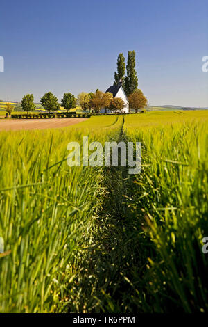 Paysage de champ avec petite chapelle Heilig-Kreuz-Kapelle, Allemagne, Rhénanie-Palatinat, Eifel, Mertloch Banque D'Images