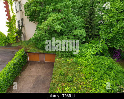 Green et envahi par les toits de garage, Allemagne Banque D'Images