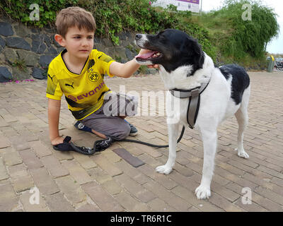 Dog (Canis lupus f. familiaris), petit garçon de genou sur le sol et de caresser un chien de race mixte, Allemagne Banque D'Images