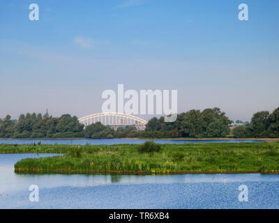 Waalbrug à Ooijpolder au printemps, Pays-Bas, Gueldre, Ooijpolder Banque D'Images
