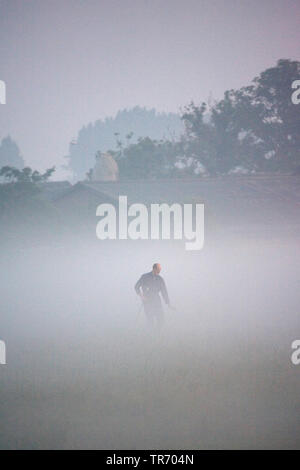 Agriculteur dans la brume, Pays-Bas, Utrecht, Vinkeveen Banque D'Images
