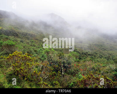 Paysage dans l' Ouest Parc Naturel National, la Colombie, Paramo, l' Ouest Parc Naturel National, Bogota Banque D'Images