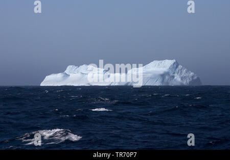 Iceberg au sud de la Géorgie du Sud , Suedgeorgien Banque D'Images