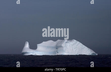 Iceberg au sud de la Géorgie du Sud , Suedgeorgien Banque D'Images