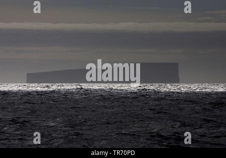 Iceberg au sud de la Géorgie du Sud au coucher du soleil, Suedgeorgien Banque D'Images