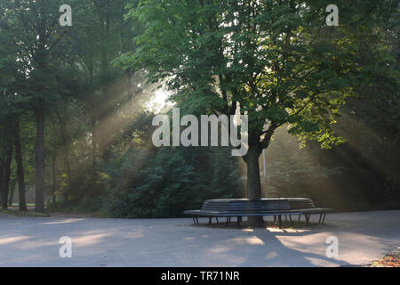 Banc en bois Vondelpark Amsterdam, Pays-Bas, Amsterdam Banque D'Images