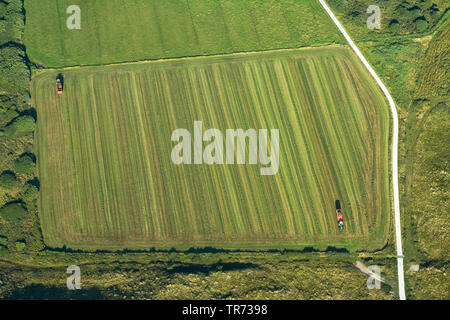 Champ sur Terschelling, photo aérienne, Pays-Bas, Terschelling Banque D'Images