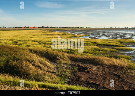 Marais de sel sur Den Oever, Pays-Bas, Pays Bas du Nord, Den Oever Banque D'Images