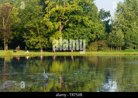 Park à Amsterdam en été, Pays-Bas, nord des Pays-Bas, Amsterdam Banque D'Images