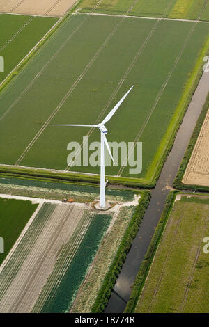 Paysage avec roue éolienne sur le terrain, vue aérienne du Nord, Pays-Bas, Pays-Bas Banque D'Images