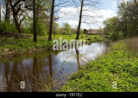 Natur réserver Lutterzand, Pays-Bas, l'Overijssel Banque D'Images