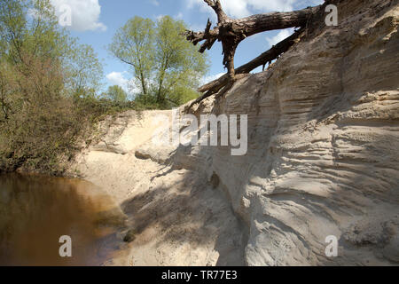 Natur réserver Lutterzand, Pays-Bas, l'Overijssel Banque D'Images