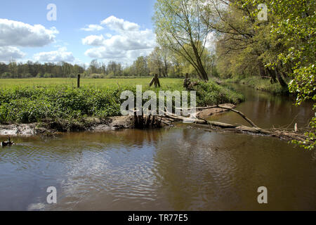 Natur réserver Lutterzand, Pays-Bas, l'Overijssel Banque D'Images