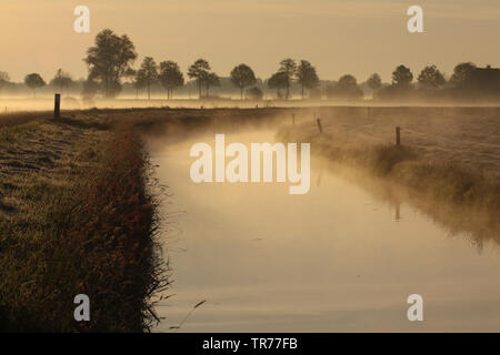 De Olde Maten dans la brume du matin, Pays-Bas Banque D'Images