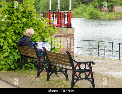 Homme aux cheveux blancs s'assit sur le banc au bord de lire un journal. Chester England Royaume-Uni. Mai 2019 Banque D'Images