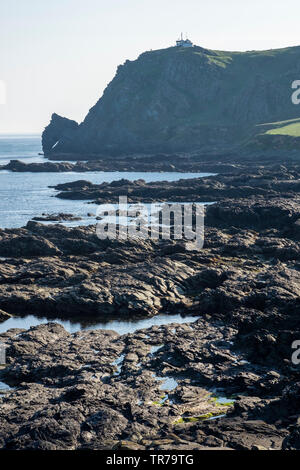 Vue de la tête des chevaux à Prawle Rock Point, East Prawle, Devon Banque D'Images