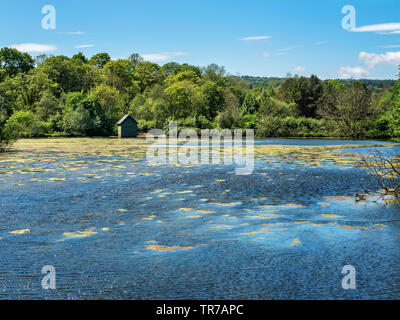Algues bleues dans l'eau au moulin des Serres Serres étang près de North Yorkshire Angleterre Campsites Canet-en-Roussillon Banque D'Images