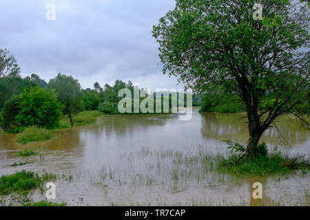 Petite rivière déborde après une période prolongée de forte pluie inondant les champs environnants et les prairies zala hongrie Banque D'Images