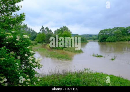 Petite rivière déborde après une période prolongée de forte pluie inondant les champs environnants et les prairies zala hongrie Banque D'Images