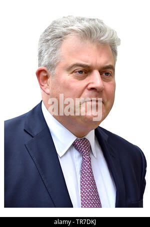 Brandon Lewis MP (Président du Parti conservateur et ministre sans portefeuille) dans la région de Whitehall, 7 mai 2019 Banque D'Images