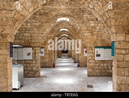 Le Nord du Liban et Musée de l'Akkar situé à l'intérieur de la Citadelle de Raymond de Saint-Gilles, Tripoli, Liban Banque D'Images