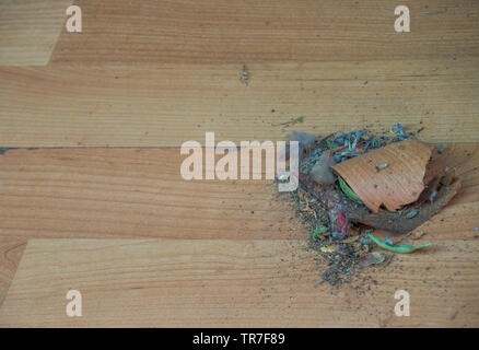 La saleté a balayé en tas sur un plancher en bois stratifié prêt libre with copy space Banque D'Images