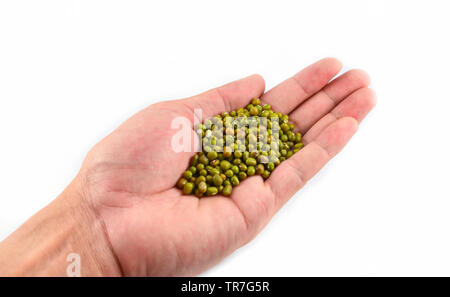 Les haricots Mungo dans la main isolé sur fond blanc Banque D'Images