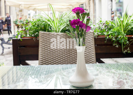 Oeillets roses dans vase en céramique blanche sur table. Dianthus caryophyllus fleurs bouquet Banque D'Images
