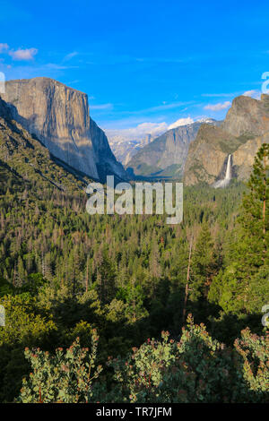 Superbe vue de tunnel de Yosemite - El Capitan, Half Dome Bridalveil Fall & Banque D'Images