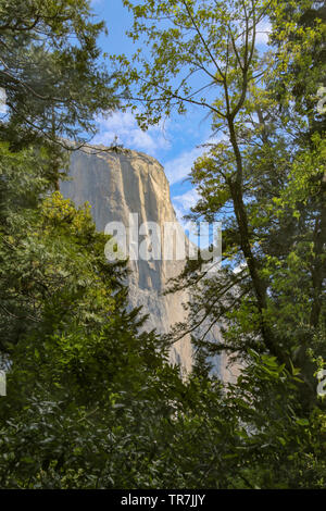 Magnifique El Capitan, Yosemite National Park Banque D'Images