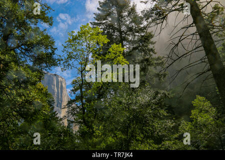 El Capitan et le brouillard de Bridalveil Falls, Yosemite National Park Banque D'Images