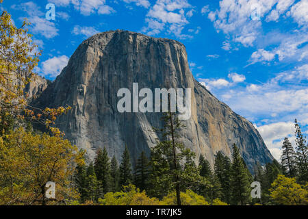 Magnifique El Capitan, Yosemite National Park Banque D'Images