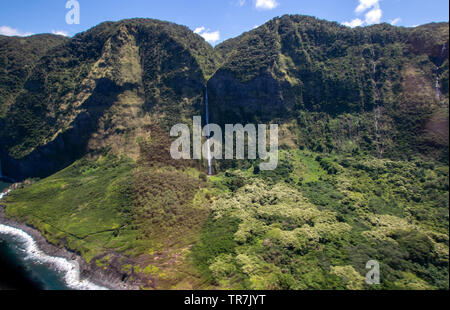 Les chutes sont vu tout le long de la côte de Kohala descendant du haut des falaises de la montagne Banque D'Images