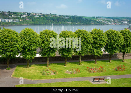 Parc Kinsale donnant sur le port, les mâts de yachts et la ville de Scilly à Kinsale, comté de Cork, Irlande Banque D'Images