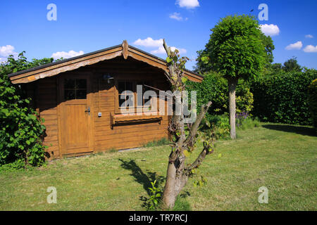 Vue panoramique sur jardin avec pelouse verte, platane, hêtre haie et vieille cabane en bois contre le ciel bleu Banque D'Images