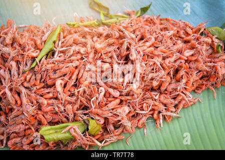 Petites crevettes croustillant frit avec des feuilles de bergamote assaisonnement - la crevette d'eau douce cuites dans le marché de l'alimentation de rue Banque D'Images