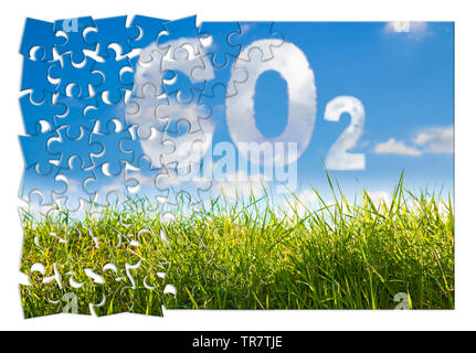 Réduction des émissions de CO2 présence dans l'atmosphère - le puzzle concept de droit contre un vert herbe sauvage sur fond de ciel Banque D'Images