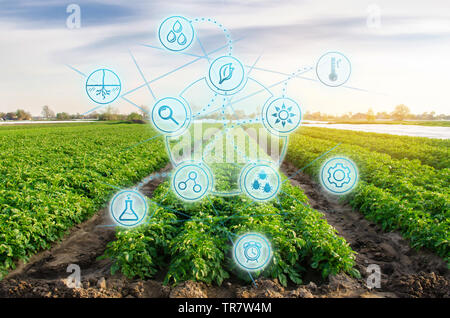 Hautes technologies et innovations dans l'agro-industrie. La qualité de l'étude de sol et de culture. Le travail scientifique et le développement de nouvelles méthodes de sélection et de va Banque D'Images